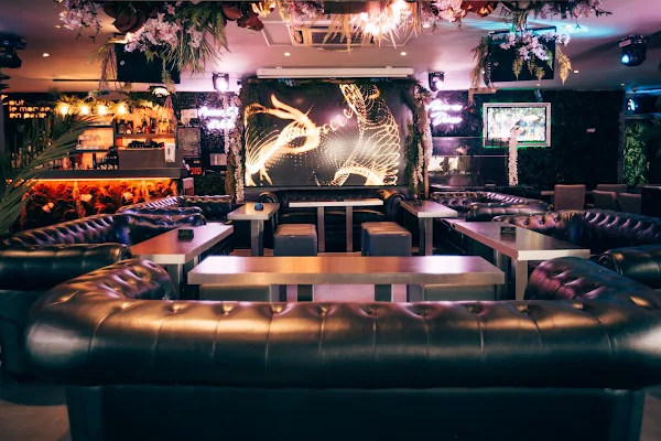 Tout Le Monde En Parle – Restaurant, Rooftop & Club in Montparnasse