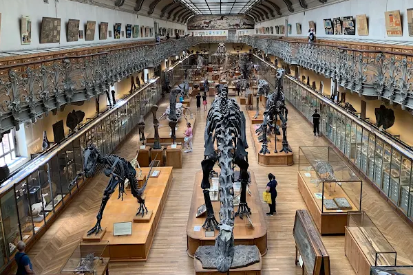 National Museum of Natural History (MNHN)