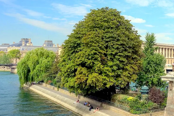 Square of the Green Gallant
